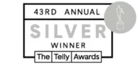 Silver award